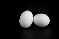 Ovos Brancos